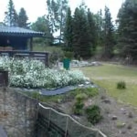 Buhberg Baude Otel Bad Lauterberg